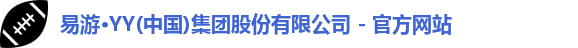 yy易游